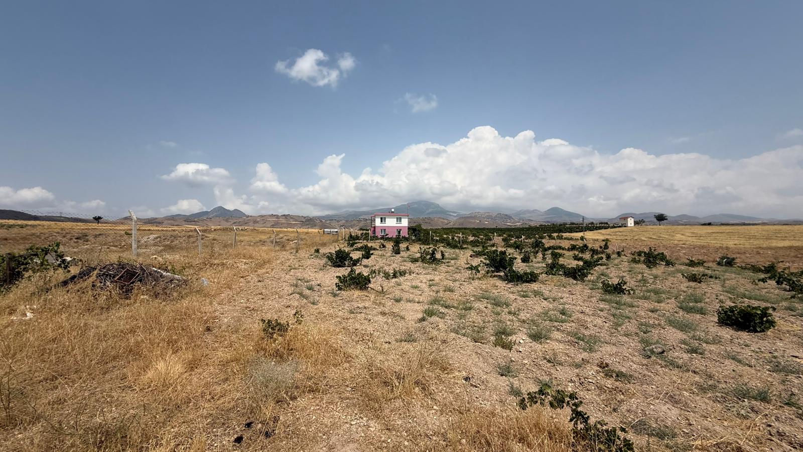 KAYSERİ DEVELİ REŞADİYE MAHALLESİ GÜZELCE MEVKİİNDE SATILIK BAĞ